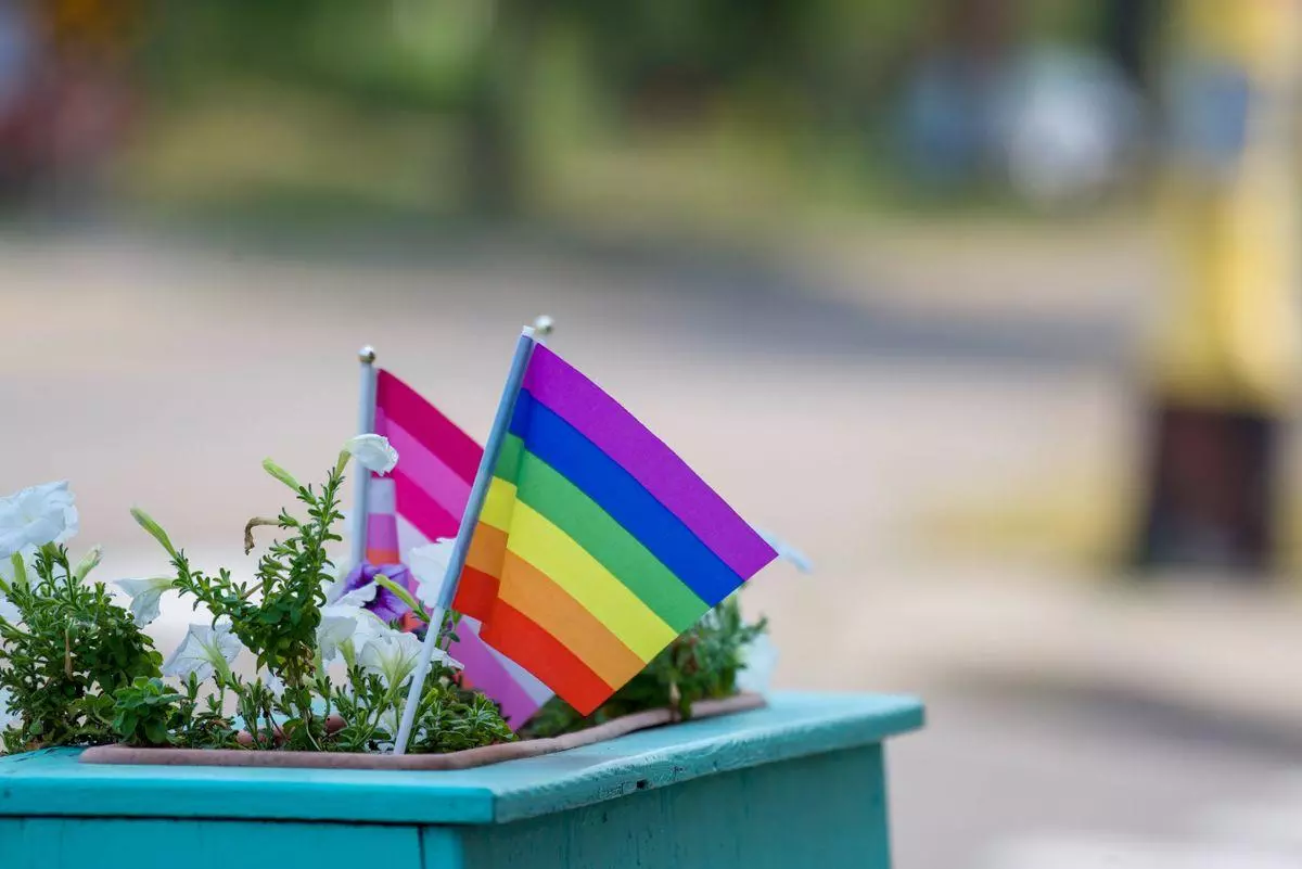 Drapeaux arc-en-ciel plantés dans un bac