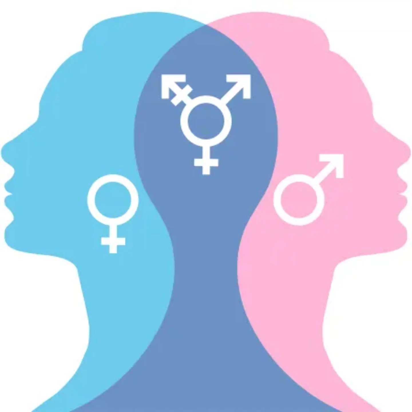 5 ans après la circulaire trans, le ministère sommé de s'expliquer