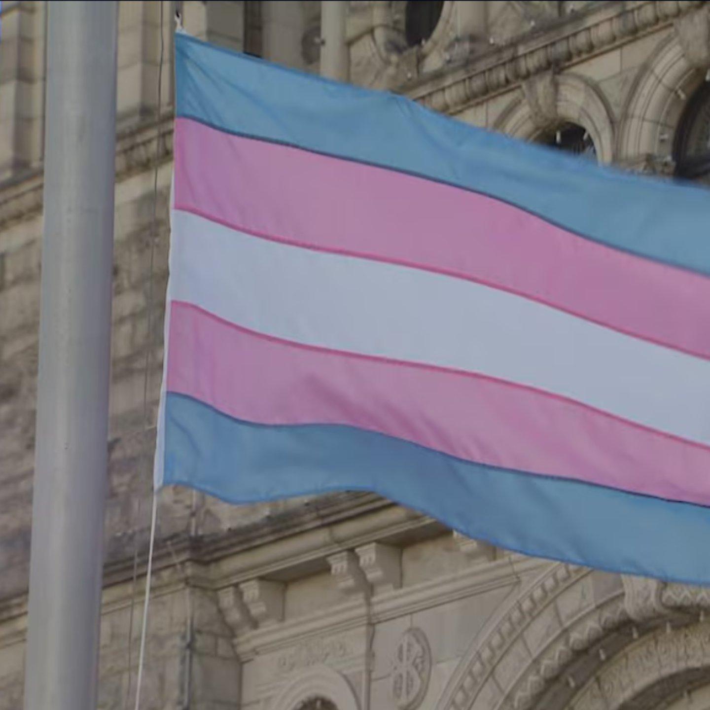 drapeau pour la communauté trans