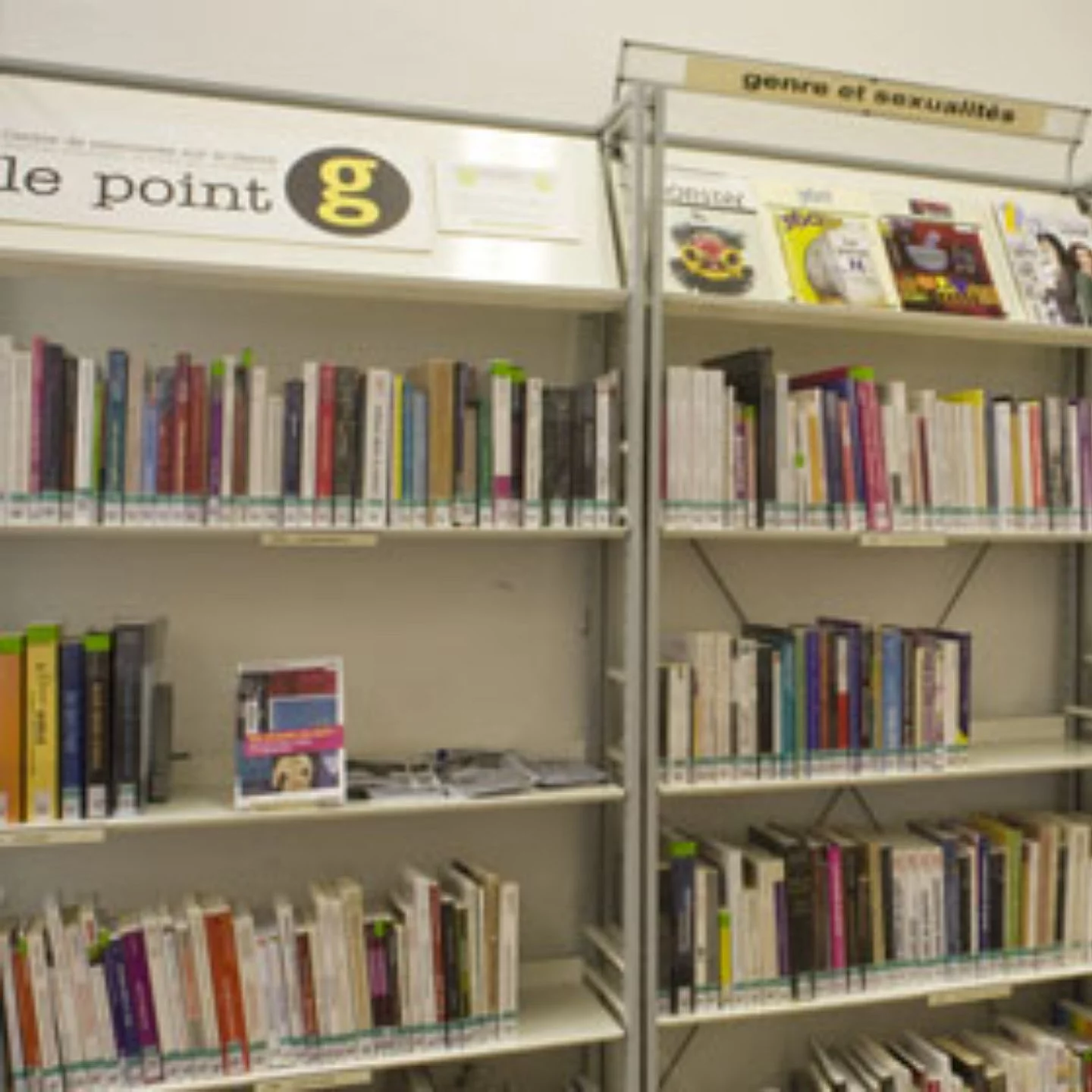 étagère de bibliothèque pour le point G
