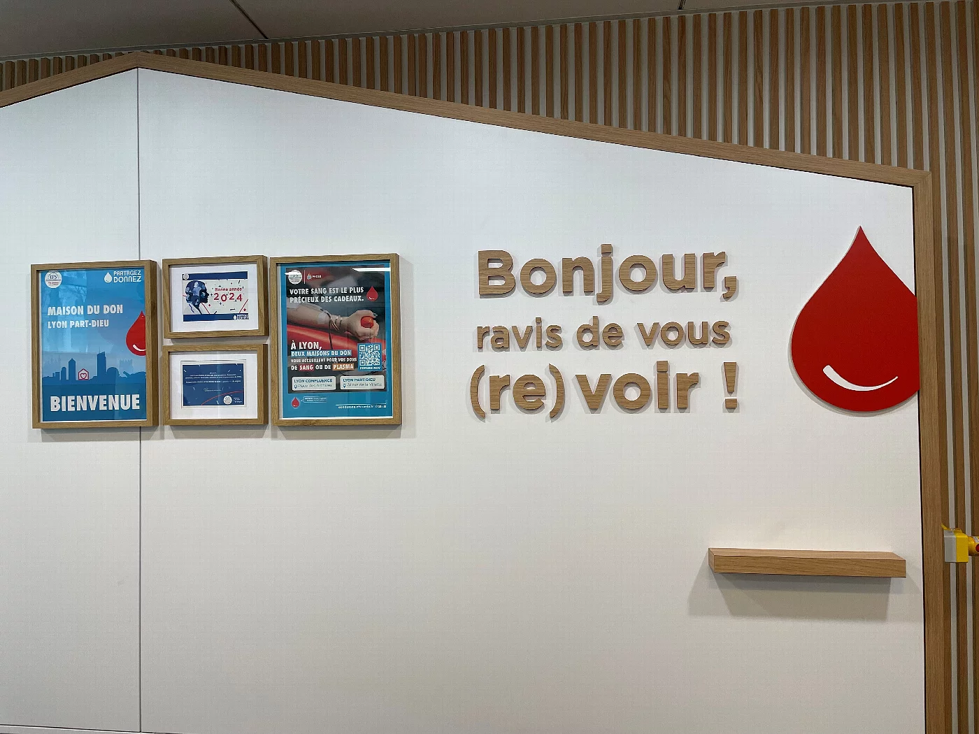 Établissement Français du Sang (EFS)